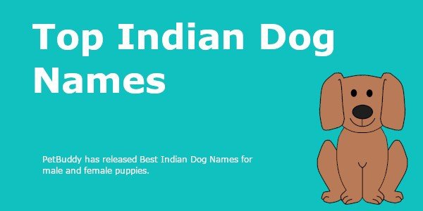 Indian Dog Names Ideas For Male Female Desi Dog Names